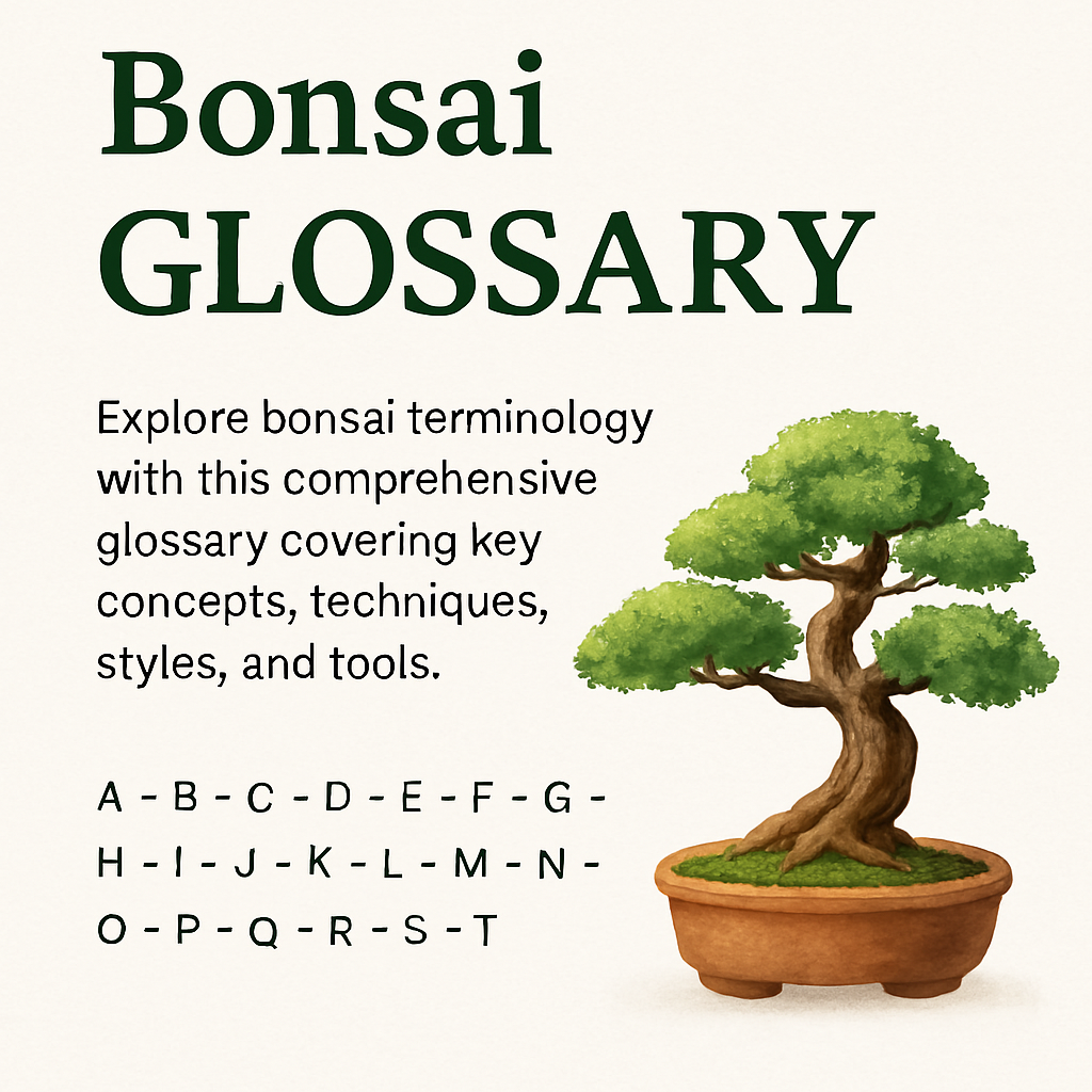bonsai glossary