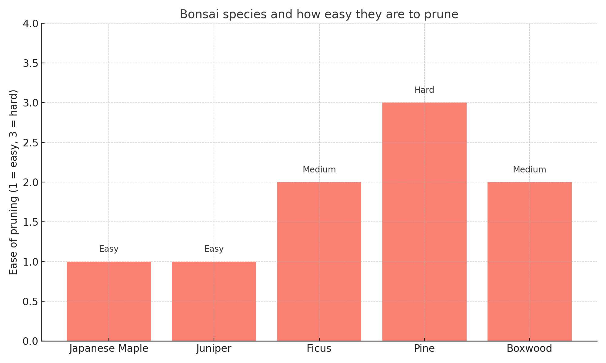 bonsai species pruning chart
