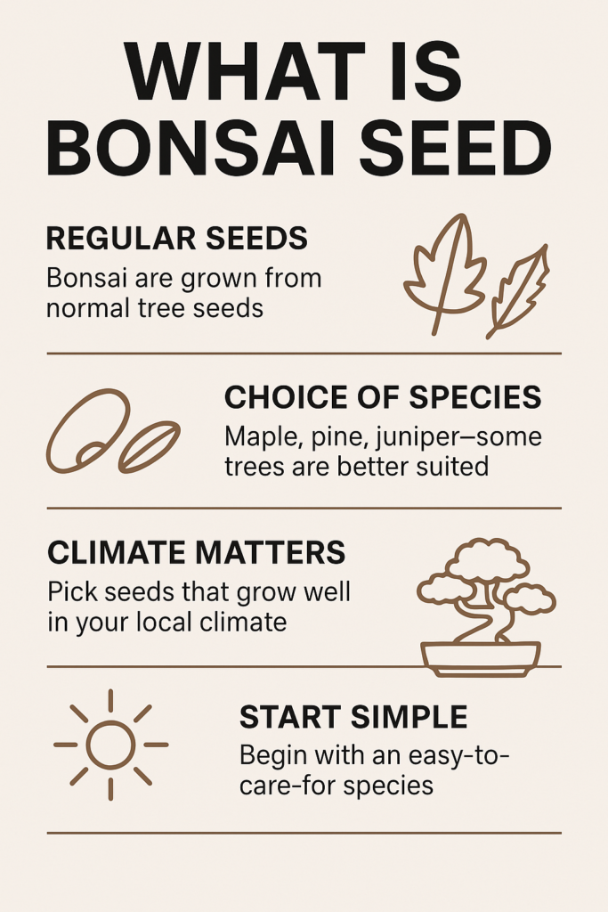 What Is Bonsai Seed?